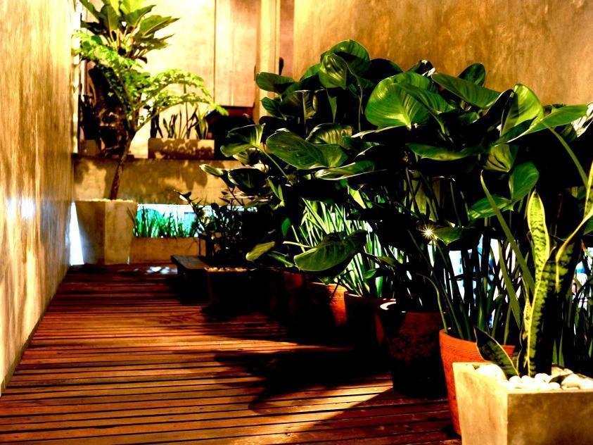 Qi 68 Hotel Chiang Mai Eksteriør billede